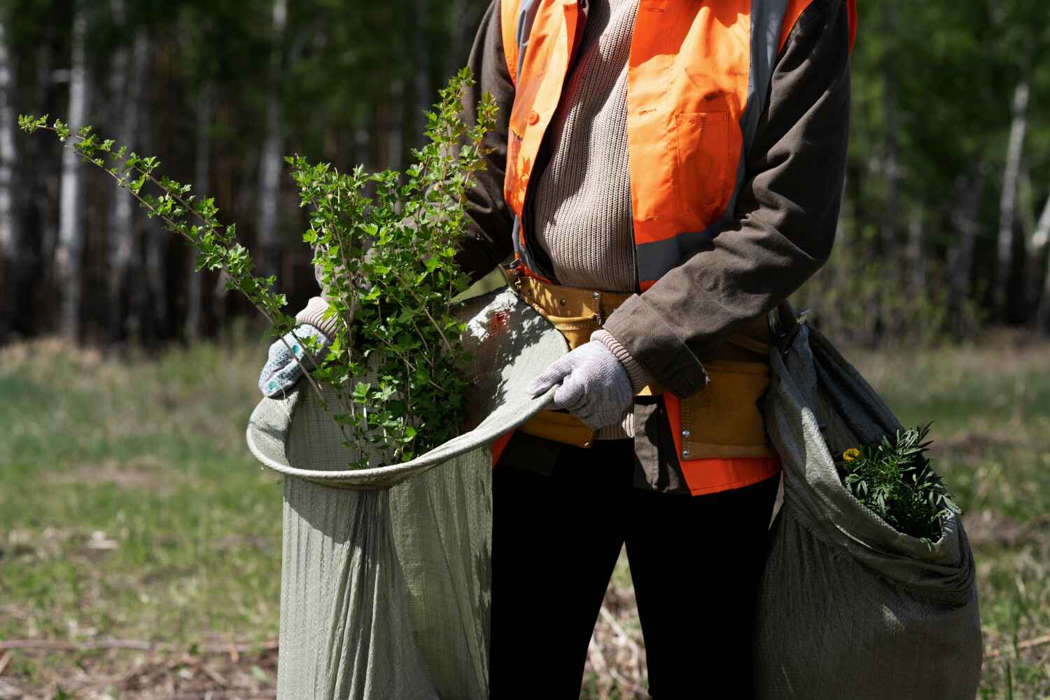 Best Professional Tree Care  in Jupiter Farms, FL